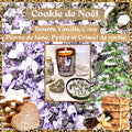 Bougie de luxe artisanale parfumée Nuit de Lune COOKIE DE NOËL Beurre, Vanille, Coco- Pierres de lune, Pyrite et cristal de roche